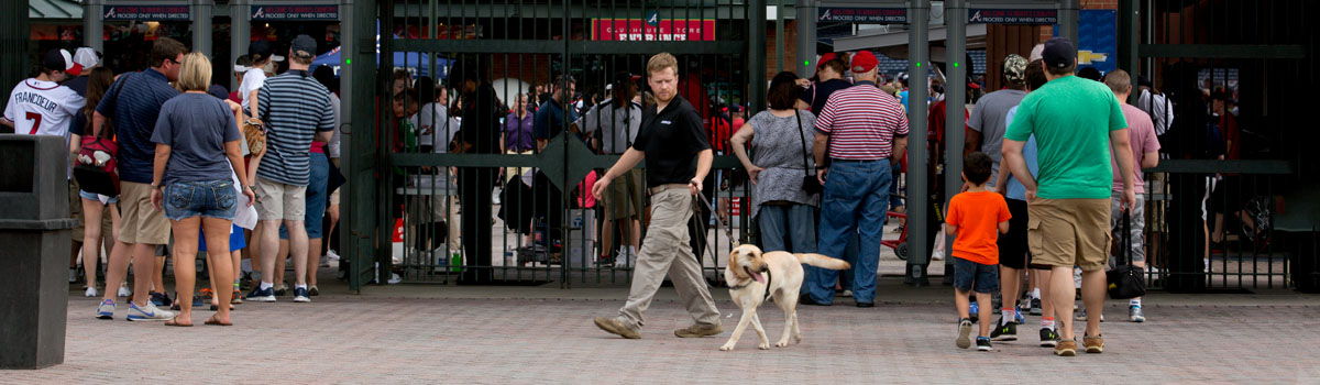 commercial dog deterrent