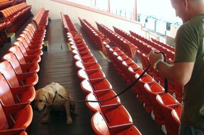 Drug dog and K9 handler searching a stadium